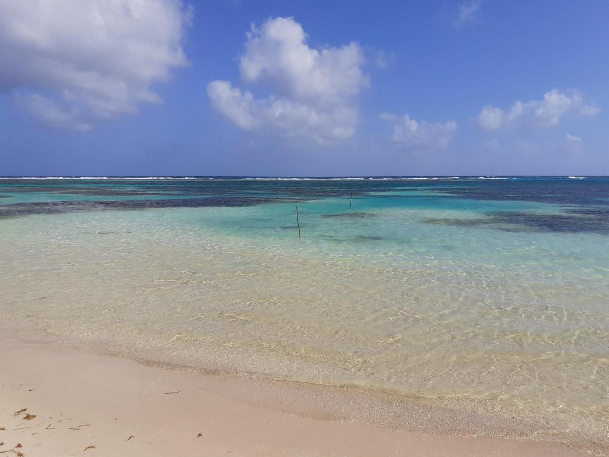 Palmeras De Mahahual Cabanas Extérieur photo